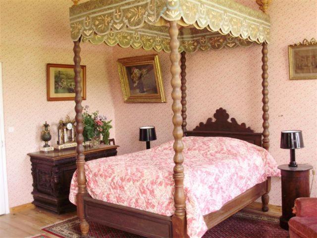 Chateau De Bois Renard Saint-Laurent-Nouan Room photo