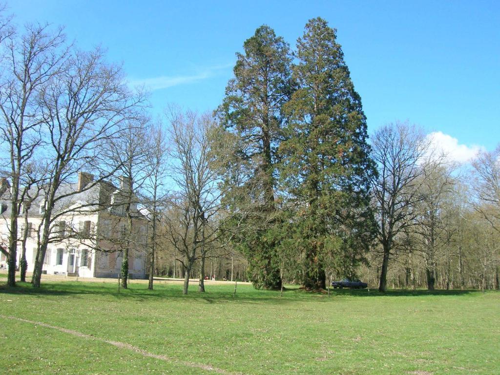 Chateau De Bois Renard Saint-Laurent-Nouan Exterior photo